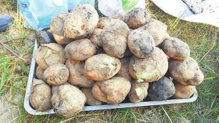 冬日的美味野餐——臨夏永靖縣的“地鍋鍋”