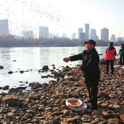 2600斤“冬糧”投喂候鳥 在蘭鳥群越冬有保障