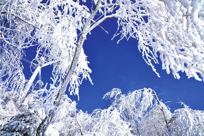 定西通渭縣首屆“華嶺霧凇冰雪節(jié)”開幕