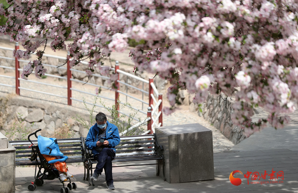 蘭州已有17家景區恢復開放