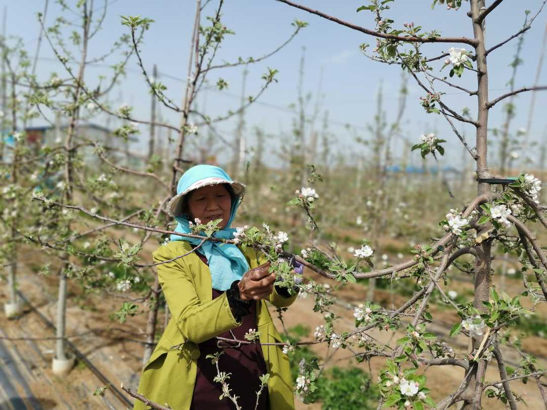 甘肅平涼靈臺縣：“紅娘”搭橋 勞務輸轉助脫貧