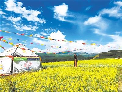 武威大紅溝村：梯田花海惹人醉