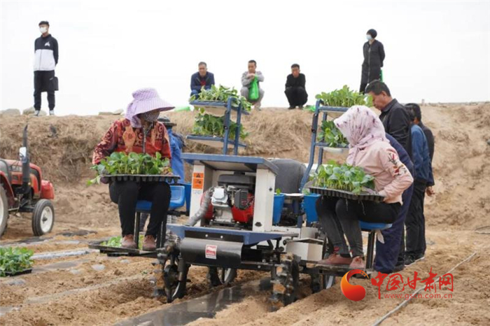 【甘肅省決戰決勝脫貧攻堅】蘭州榆中：推廣機械化種菜 提升高原夏菜供應能力