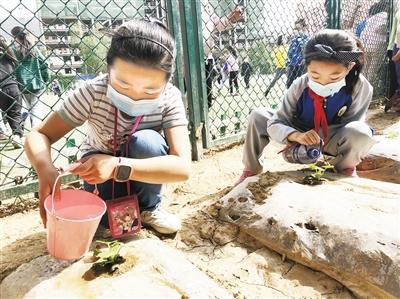 校園新鮮事丨校園小農場 我勞動我光榮