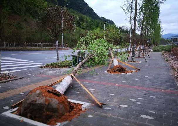 刮風(fēng)下雨加速新冠病毒傳播？別信！