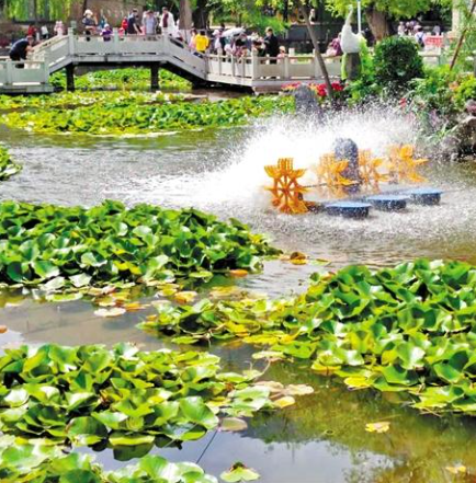 走，到五泉山公園看花展去