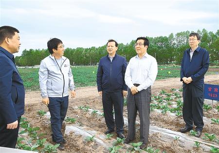 林鐸在天?？h調研指導脫貧攻堅工作時強調  拉開架勢持續用力構建扶貧產業體系 多措并舉固強補弱鞏固提升脫貧成果