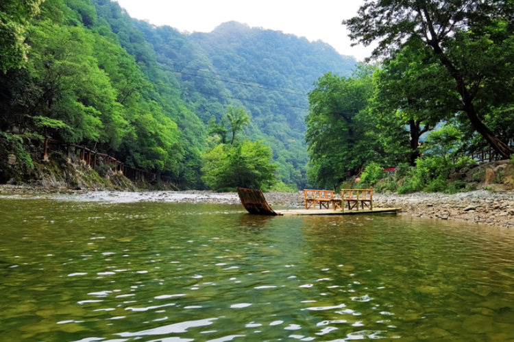 【小隴畫報(bào)·95期】康縣：來陽壩，“森”呼吸，我“氧”你