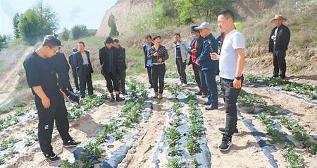 讓千家萬戶端穩(wěn)飯碗——定西市安定區(qū)穩(wěn)就業(yè)保民生見聞