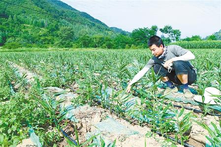 【走向我們的小康生活】安居樂業 幸福花開