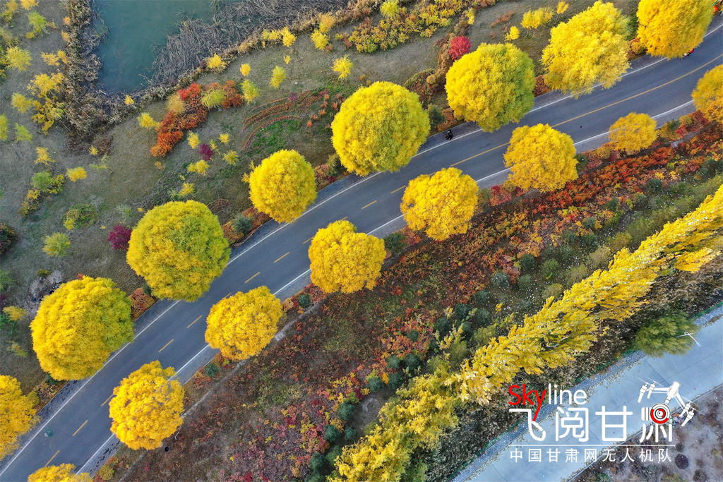 【飛閱甘肅】張掖濕地公園：深秋美景若油畫