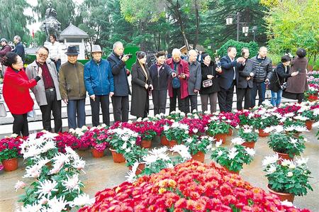 天水麥積區(qū)：賞菊登高歡度重陽