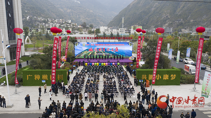 隴南：油橄欖種子經過太空遨游后回“娘家”