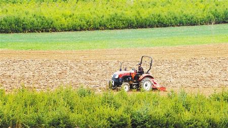 建沃野良田 助鄉村振興——甘肅省全力推進高標準農田建設見聞