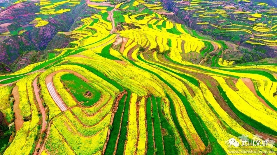 武山:人勤春早 文旅融和發(fā)展生機盎然