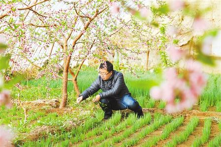 甘肅：時令催人耕種忙，不誤田間一季春