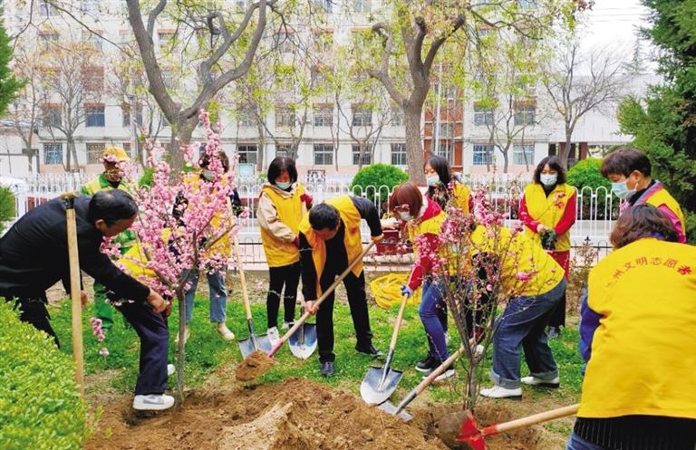 黃河風情線大景區(qū)管委會:補植補栽黃河風情線斑禿裸露地帶