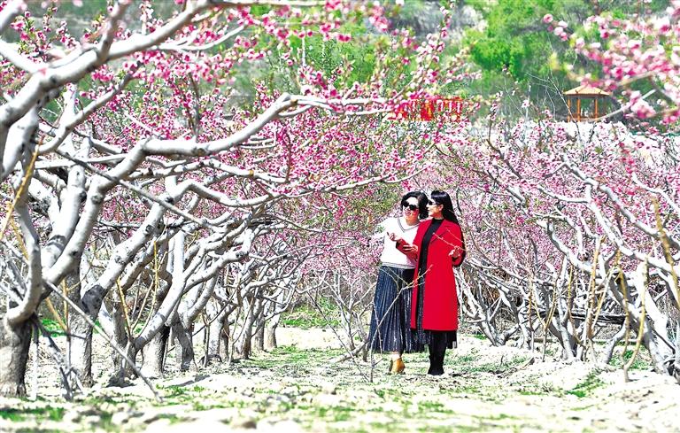 臨夏州各縣市多個旅游景區景點游人如織