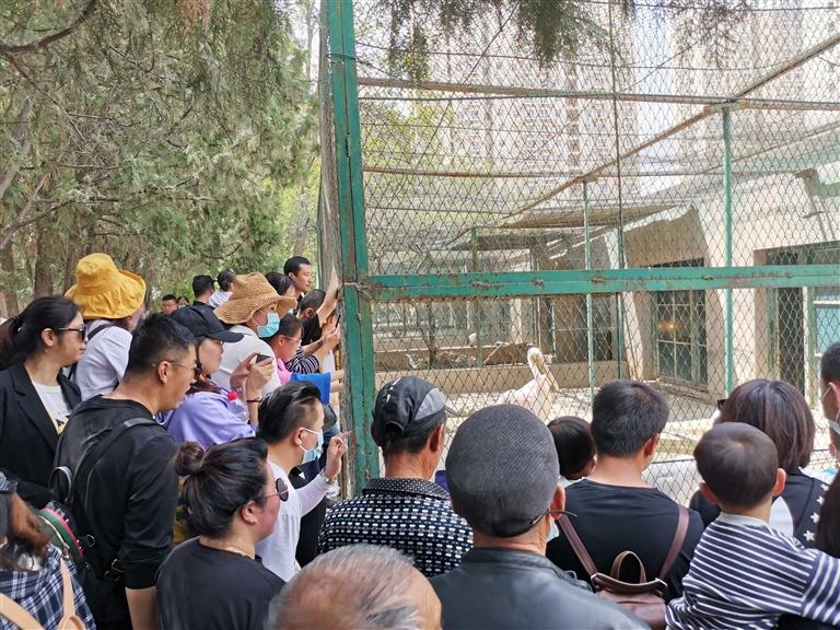 【蘭州市動(dòng)物園搬遷】守護(hù)者訴說不了情