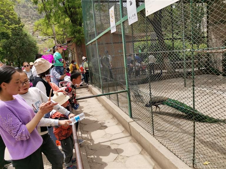 【蘭州動(dòng)物園搬遷】那些年上山找快樂