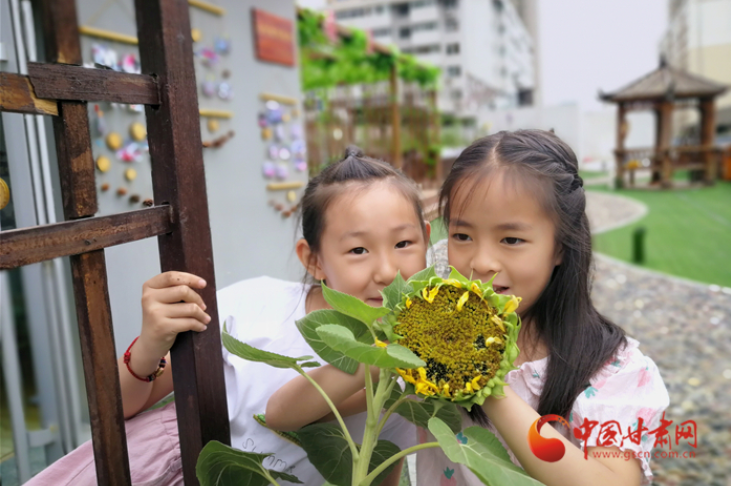 蘭州：社區(qū)小菜園豐收了 這些果實(shí)都可帶回家 