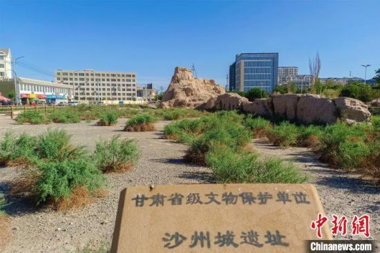 圖為沙州郡城遺址公園古遺址。　王斌銀 攝