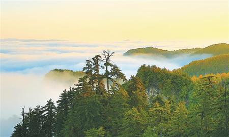 綠染隴中山河新