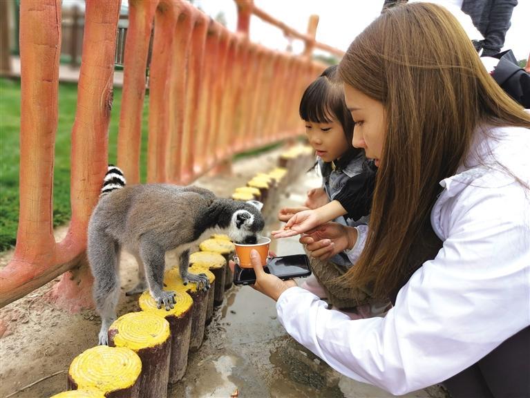  開(kāi)園首日 蘭州野生動(dòng)物園迎來(lái)近三千游客