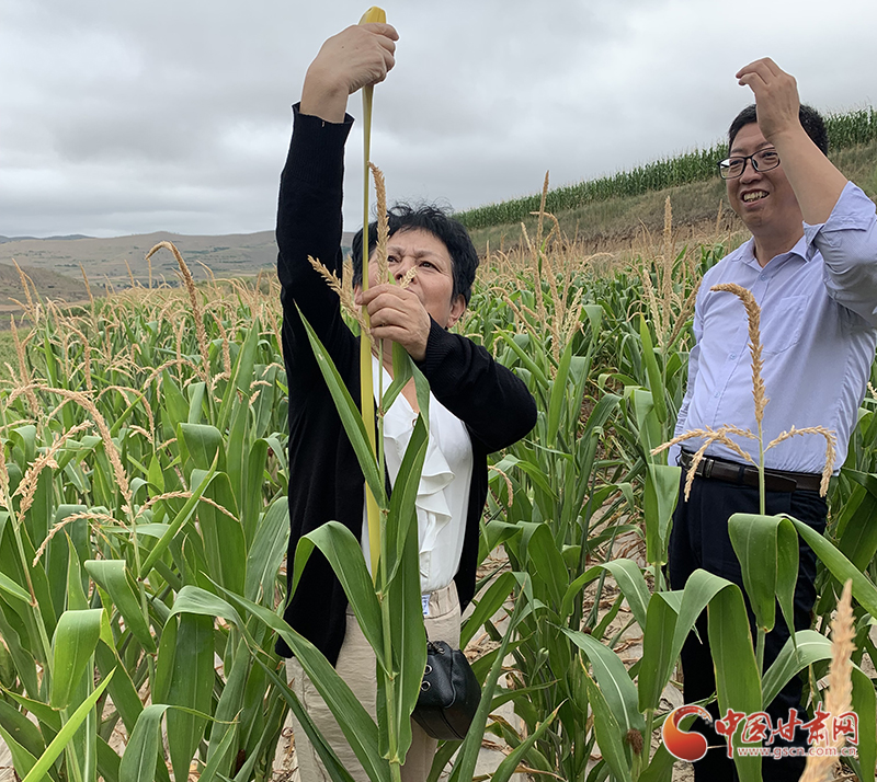 甘肅一位農(nóng)氣專(zhuān)家的“人工增雨圖”