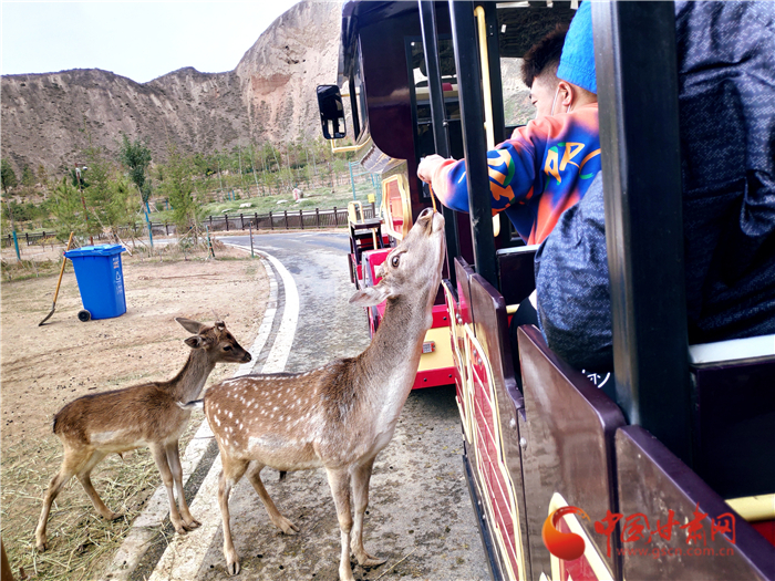 重陽節蘭州野生動物園48元可搶門票