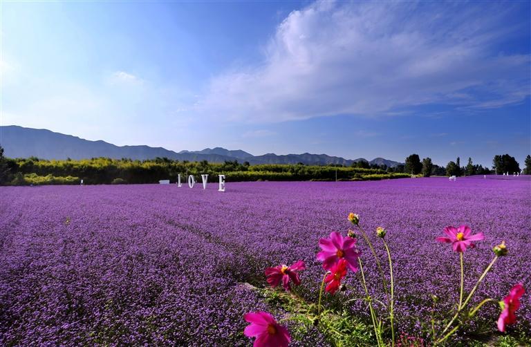 埋頭苦干 勇毅前行 永登奮力打造全域城鄉融合發展示范縣