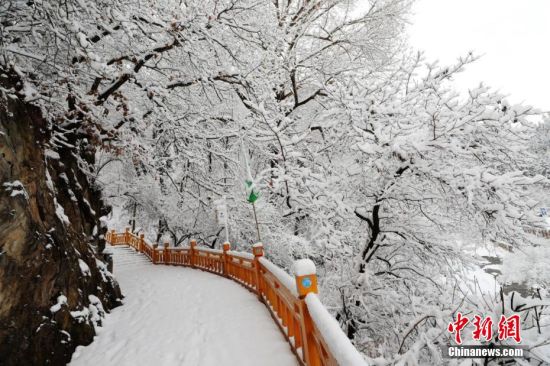 圖為上山的石階被雪覆蓋。張天寶 攝