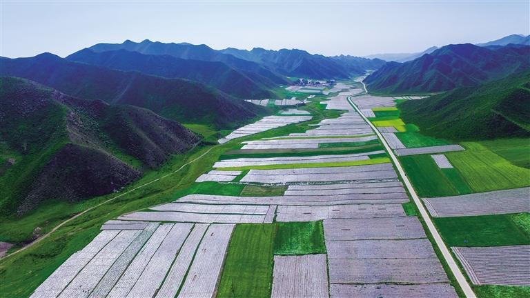 蘭州永登縣打贏三場攻堅戰做好“產業興旺”大文章