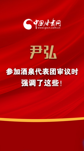 【2022甘肅兩會·圖解】尹弘書記參加酒泉代表團審議時強調了這些！