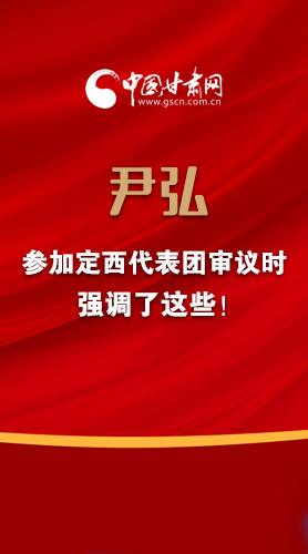 【2022甘肅兩會·圖解】尹弘書記參加定西代表團審議時強調了這些！