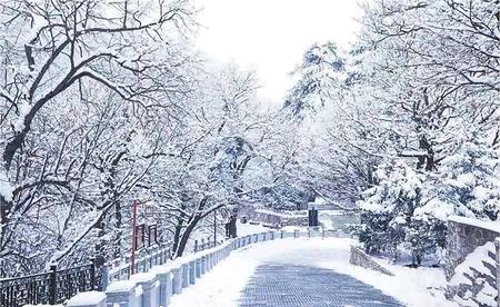 雪中登崆峒