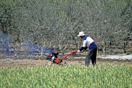 隴南武都區漢王鎮羅寨村農民在耕地