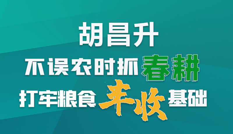 圖解|胡昌升：不誤農時抓春耕打牢糧食豐收基礎