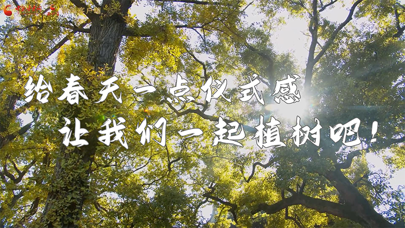 短視頻|給春天一點(diǎn)儀式感，讓我們一起植樹吧！