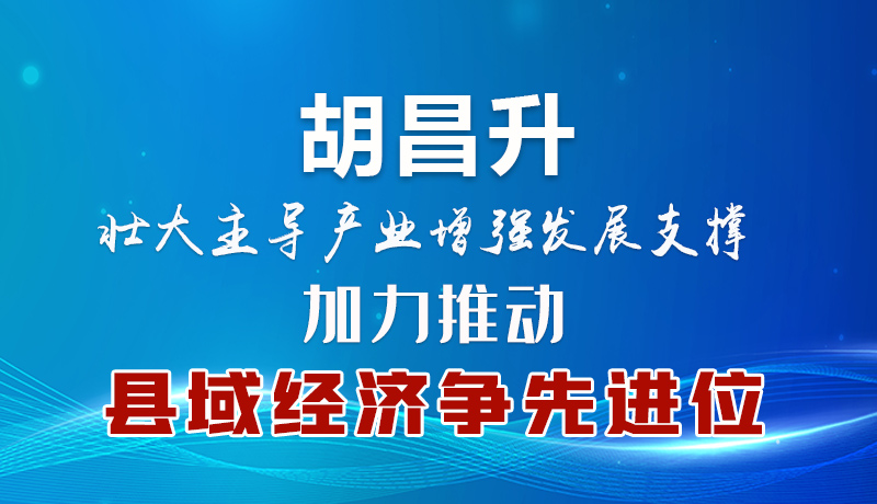 胡昌升：壯大主導(dǎo)產(chǎn)業(yè)增強(qiáng)發(fā)展支撐 加力推動(dòng)縣域經(jīng)濟(jì)爭(zhēng)先進(jìn)位