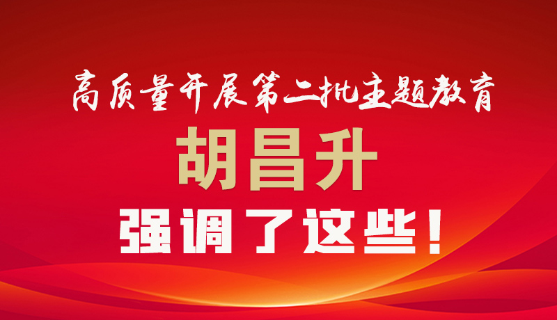 圖解|高質量開展第二批主題教育 胡昌升強調了這些！