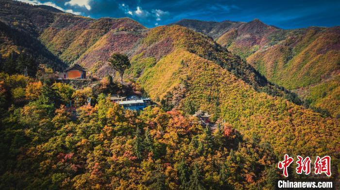 深秋，位于蘭州市榆中縣的興隆山，似打翻調(diào)色板。金峯 攝