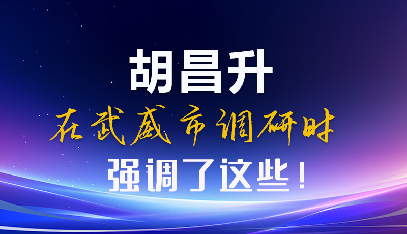 圖解|胡昌升在武威市調(diào)研時強調(diào)了這些！