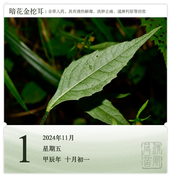 箴歷日歷11-1.png