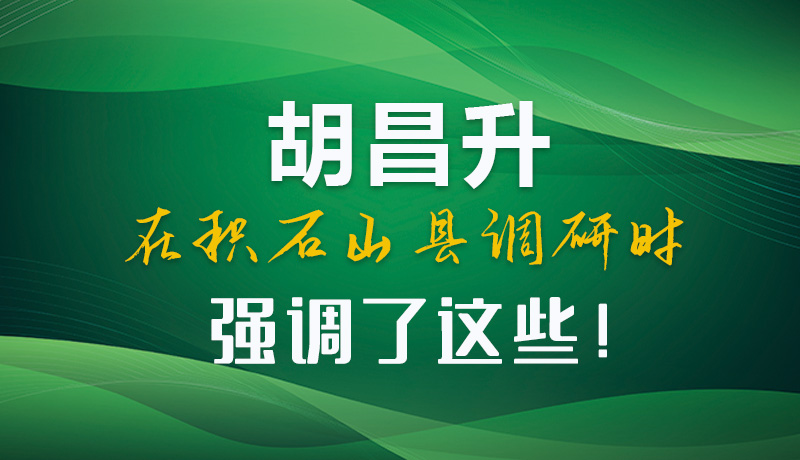 圖解|胡昌升在積石山縣調研時強調了這些！