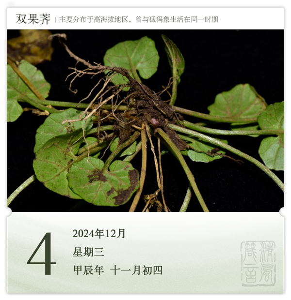 箴歷日歷12-4.png