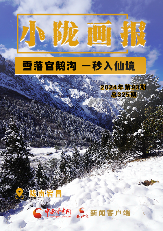 【小隴畫報·325期】宕昌：雪落官鵝溝 一秒入仙境