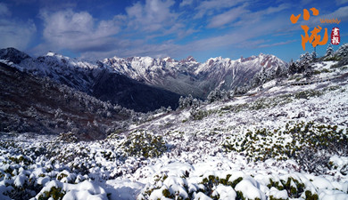 宕昌：雪落官鵝溝 一秒入仙境