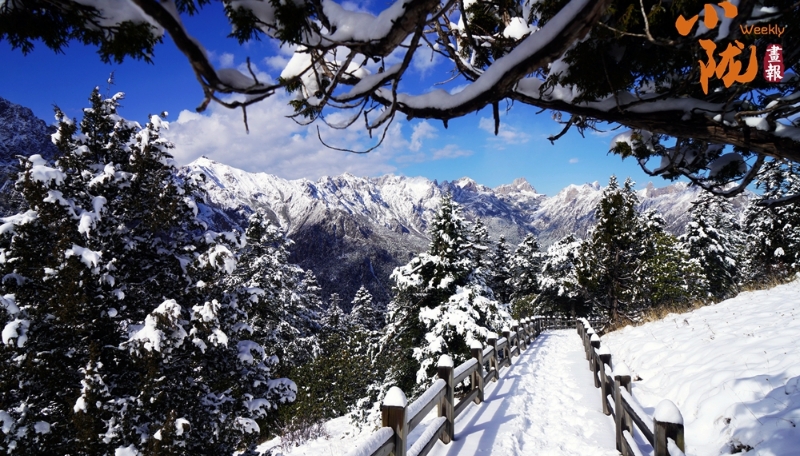 【小隴畫報·325期】宕昌：雪落官鵝溝 一秒入仙境