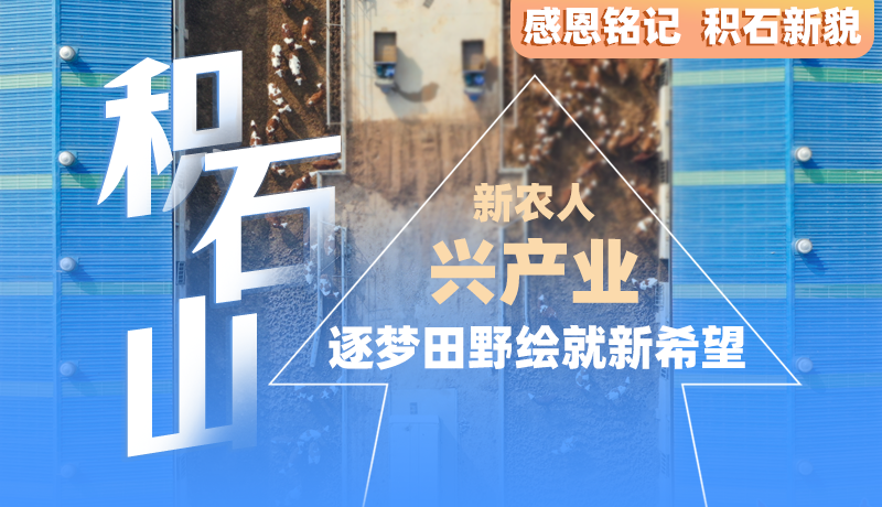 【甘快看】感恩銘記 積石新貌|積石山：新農人 興產業 逐夢田野繪就新希望